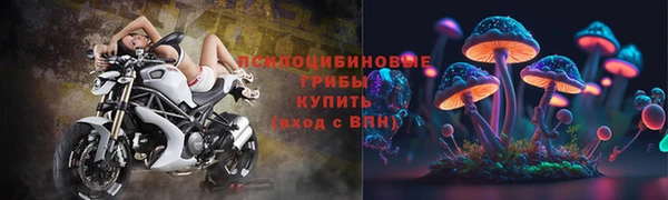 mdpv Осинники