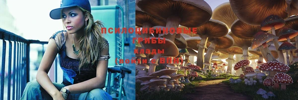 винт Няндома