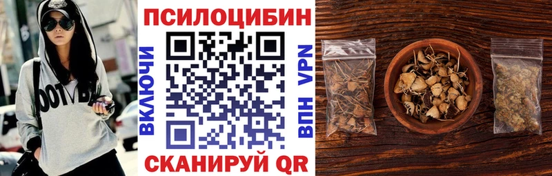 Псилоцибиновые грибы Psilocybine cubensis Магнитогорск