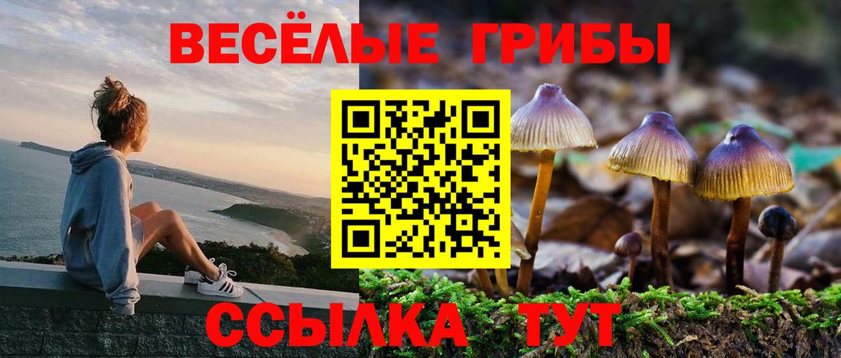 Псилоцибиновые грибы мицелий Магнитогорск